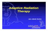 Adaptive Radiation Therapy - AVL - Home radiotherapy (ART).pdf · Radiotherapy procedure Tattoo, align and scan patient Draw target and plan treatment on RTP Align patient on machine