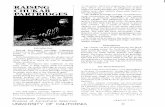 Raising Chukar Partridges - University of California, Davisanimalsciencey.ucdavis.edu/avian/chukar.pdf · Created Date: Friday, July 28, 2000 3:29:59 PM