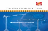 The Safe Operation of Cranes - Health & Safety Hubdocs.healthandsafetyhub.co.uk/Themisis/...safe-operation-of-cranes.pdf · 5.7 “TAG” Jib Cranes & Mini Tower Cranes 21 ... Typical