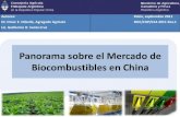 Biocombustibles en China - · PDF filePanorama sobre el Mercado de Biocombustibles en China Autores: Dr. Omar E. Odarda, Agregado Agrícola Lic. Guillermo O. Santa Cruz Pekín, septiembre