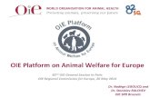 OIE Platform on Animal Welfare for Europeoldrpawe.oie.int/fileadmin/doc/eng/OIE_AW_events_ppts/82_OIE_GS... · OIE Platform on Animal Welfare for Europe 82nd OIE General Session in