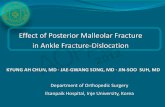 Effect of Posterior Malleolar Fracture in Ankle - AOFAS · PDF fileEffect of Posterior Malleolar Fracture ... Effect of Posterior Malleolar Fracture in Ankle Fracture-Dislocation .