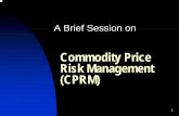Commodity Price Risk Management (CPRM) - dnb.co.inPresentations\75\Mr. K Rajaram.… · from an MTM angle of the hedge portfolio and also can lead to cash outflows. ... commodity