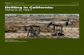 NRDC: Drilling in California - Who's at risk? (PDF) · PDF fileTanja Srebotnjak Miriam Rotkin-Ellman Natural Resources Defense Council Drilling in California: Who’s at risk? NRDC