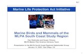 Marine Birds and Mammals of the MLPA South Coast Study Region · PDF file1 Marine Birds and Mammals of the MLPA South Coast Study Region Dan Robinette and Susan Chivers MLPA Master