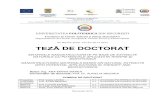 Nr Decizie Senat. 227 din 20.12.2013 TEZǍ DE DOCTORATbionanophoto.chfiz.pub.ro/Rezumat_MANEA.pdf · TEHNICI DE CARACTERIZARE 44 3.3.1. Cromatografie de gaz cuplatǎ cu spectrometria