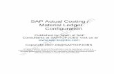 SAP Actual Costing / Material Ledger Configuration - · PDF fileSAP ACTUAL COSTING/MATERIAL LEDGER CONFIGURATION TABLE OF CONTENTS INTRODUCTION ... materials (raw materials) and materials