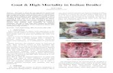 Gout & High Mortality in Indian · PDF fileGout & High Mortality in Indian Broiler ... and finally Chronic Respiratory Disease ... harmful viruses in today’s poultry. Steps shall