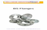 BS Flanges -  · PDF fileBS Flanges Tel: 886-4-23112576 Fax: 886-4-23112578 E-mail: wellgrow@ms18.hinet.net