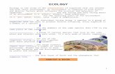 ECOLOGY notes outline - Web viewECOLOGY. Ecology is the study ... (i.e. air, water, rocks, sand, ... which is an advantage because natural fires destroy trees that might compete with