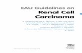EAU Guidelines on Renal Cell Carcinoma · PDF fileRENAL CELL CARCINOMA - LIMITED UPDATE MARCH 2016 3 7.1.2 Surgical treatment 21 7.1.2.1 Nephron-sparing surgery versus radical nephrectomy