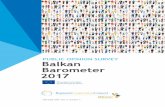 PUBLIC OPINION SURVEY Balkan Barometer · PDF filePUBLIC OPINION SURVEY Balkan Barometer 2017 ISSN 2303-2594, Year 3, Number 3 This project is funded ... the views of the RCC or of
