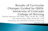Tammy Spencer, RN, MSN, CNE, ACNS -BC, CCNS - · PDF fileRedefining clinical nursing education practices and environments “Implementation of these competencies will ... Each KSA