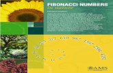 FIBONACCI NUMBERS in nature - MSC2010msc2010.org/MSC2010-CD/Printable Posters/fibonacci-poster-sm.pdf · FIBONACCI NUMBERS in nature Fibonacci numbers: After the first two 1’s in