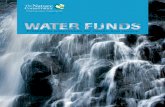 Protectingwatershedsf · PDF fileTNC.Thisendowmentyielded,in2008,about$690,000ininterestthatwasavailabletospendonconservation projects(FONAG2008). ... EnvironmentalManagement 40:958-965