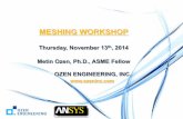 MESHING WORKSHOP - Ozen Engineering and · PDF fileINTRODUCTION TO ANSYS MESHING • In this lecture we will learn: – Process for pre-processing using ANSYS tools – What is the