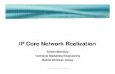 IP Core Network Realization - IEEE Cisco.pdf · IP Core Network Realization ... Core Network Access Network(s) Internet PTSN ... optimization E-Learning Calendar End to End IP Core