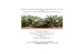PEST MANAGEMENT STRATEGIC PLAN FOR BANANA …ipmcenters.org/pmsp/pdf/HIBananaPMSP.pdf · PEST MANAGEMENT STRATEGIC PLAN FOR BANANA PRODUCTION ... Registered Pesticides for Banana