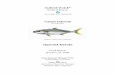 Seafood Watch - · PDF fileAbout Seafood Watch® and the Seafood Reports . Monterey Bay Aquarium’s Seafood Watch® program evaluates the ecological sustainability of wild-caught