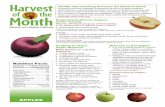 APPLES - Harvest Of The Month Homeharvestofthemonth.cdph.ca.gov/documents/Fall/21712/Ed_News_Apple… · APPLES Health and Learning Success Go Hand-In-Hand Increasing fruit and vegetable