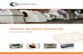 LEA Steam-Turbine-Controls 141015 e -  · PDF fileProducts steam turbine Controls ... oil may be present. ... Complete turbine and generator control system tuning software, with