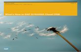 What's New in SAP S/4HANA Cloud 1708 … · What's New PUBLIC Document Version: 1.0 – 2017-08-07 What's New in SAP S/4HANA Cloud 1708