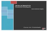 JESUCRISTO - p · PDF file1 JESUCRISTO Catequesis Cristológicas José Antonio Pagola Índice INTRODUCCION