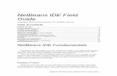 NetBeans IDE Fundamentals · PDF fileNetBeans IDE Fundamentals ... Java sources are grouped into packages without nodes for each level of file hierarchy. Files that you do not normally