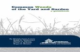 Common Weeds of the Yard and Garden - USU Extension · PDF fileCommon Weeds of the Yard and Garden a guidebook. Ordering Information To order additional copies of the Common Weeds