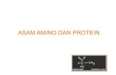 ASAM AMINO DAN PROTEIN - kuliah.septiana.infokuliah.septiana.info/wp-content/uploads/2015/02/asam-amino-dan... · terikat pada posisi dari gugus karboksil. ... (anabolisme/endorgenik)
