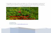 DEVELOPMENT: MORINGA PROJECTS Business Plan developmen… · 3 | P a g e 3.1 Overview of Moringa Moringa oleifera Lam. belongs to a monogeneric family of shrubs and trees, Moringaceae.