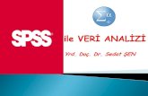 Yrd. Doç. Dr. Sedat ŞEN · PDF fileSPSS: Statistical Package for the Social Sciences Genellikle nicel analizler (istatistik) için kullanılan birçok programdan sadece bir tanesidir