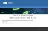 Medical Microbiology Microscopic slides and mediastudymed.umed.pl/media/Medical-microbiology... · Medical Microbiology Microscopic slides and media Head of Microbiology Department