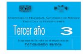 PATOLOGÍA BUCAL -  · PDF fileSecretario General ... 0405 12 Medicina Bucal ...   . 11 NÚMERO DE