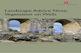 Landscape Advice Note: Vegetation on · PDF fileLandscape Advice Note: Vegetation on Walls. 2 ... Walls, and other exposed stonework, are colonised by plants in a similar way to the