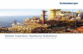 Water Injection Systems Solutions - Oilfield · PDF fileWater Injection Systems Solutions ... Biocide Antiscalant Cartridge filtration ... antiscalants for injection into the feed