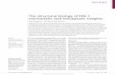 The structural biology of HIV-1: mechanistic and ...biology.kenyon.edu/courses/biol375/HIV-1_2012_nrmicro2747.pdf · The structural biology of HIV‑1: mechanistic and therapeutic