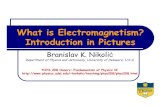what is electromagnetism - Delaware  · PDF filePHYS 208 Honors: What is Electromagnetism? Origin of Charged Objects: Elementary Particles, Standard Model, and All That