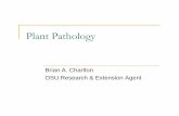 Plant Pathology - Oregon State University | Oregon State ...oregonstate.edu/.../sites/default/files/2010_mg_plant_pathology.pdf · Objectives Understand the concepts of disease, injury,