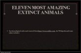 ELEVEN MOST AMAZING EXTINCT ANIMALS - …ictedservices.typepad.com/files/11-extinctions__edit.pdf · The Dodo was a flightless bird that lived on the island of Mauritius. ... Fossils