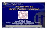 Urodynamics and Benign Prostatic Hyperplasia - … and bph.pdf · BPH and Urodynamics • Relation between voiding symptoms and bladder function and outlet obstruction is not simple