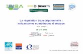 La régulation transcriptionnelle : mécanismes et méthodes …tagc.univ-mrs.fr/puthier/images/download/ESIL_Regulation... · La régulation transcriptionnelle : mécanismes et méthodes