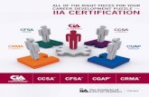 All of the right pieces for your cAreer Development puzzle - IIA · PDF filecAreer Development puzzle — iiA certificAtion ccsA ... The 2013 CIA Exam Syllabus is now available online