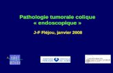 Pathologie tumorale colique « endoscopique - AFIAP PARIS/polypescoliques Flejou 08.pdf · cancer du côlon ? 1) ... • Risque de cancer : ovaire, testicule, pancréas, sein, thyroïde,