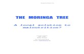 The Miracle Tree - Moringa oleifera · PDF filethe products of the Moringa tree – a natural resource present in most tropic and sub-tropic countries