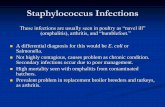 The University of Georgia - ava.org.af · PDF fileStaphylococcus Infections These infections are usually seen in poultry as “navel ill” (omphalitis), arthritis, and “bumblefoot.”