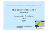 The polymerase chain reaction - u- · PDF file · 2012-04-16The polymerase chain reaction Collected by Ernő Zádor PhD. 2011 Theoretical course: Basic biochemical methods and ischemic