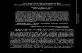 Mga Pagdidili-dili sa Pagtutumbas (Ilang mungkahing mga ...scientia-sanbeda.org/wp-content/uploads/2017/12/4-reyes.pdf · Kung sa kontext pumapasok ang interpretasyon sa larangan