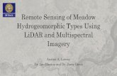 Classifying Meadow Hydrogeomorphic Types with LiDAR · PDF fileLiDAR and Multispectral Imagery ... Classifying Meadow Hydrogeomorphic Types with LiDAR and Multispectral Imagery using