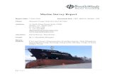 Marine Survey Report - Southwinds Marine Consulting · PDF fileMarine Survey Report Report Date: ... sampling, confirmed weight / ullage calculations, agreed to the exact tonnage,